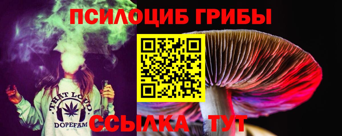Галлюциногенные грибы Cubensis  продажа наркотиков  Вход с VPN  Ржев  Галлюциногенные грибы Cubensis 